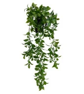 Nettenevime Yapay Çiçek Saksıda Sarkan Fejka Yeşil Limon Yaprağı Yapay Sarmaşık 60cm thumbnail 4