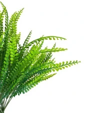 Nettenevime 3lüSet Yapay Çiçek Kuşkonmaz Demet Garnitür Yeşil Aradal Dekoratif Yapay Bitki thumbnail 3