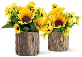 Nettenevime Yapay Çiçek 2 Adet Ahşap Kütük Saksılı Cipsolu Ay Çiçeği thumbnail 1