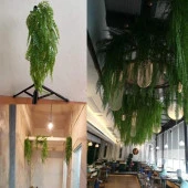 Nettenevime Yapay Çiçek Sarkan Boston Fern 60cm 5Dallı ty124 Yapay Sarmaşık Yeşil thumbnail 7