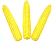 Nettenevime Yapay Sebze Mısır Corn 1adet 14*5cm thumbnail 2