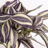 Nettenevime Yapay Çiçek Lila Çizgili Yaprak Demeti  Dikey Bahçe Uygulama Demeti 30 cm Yapay Bitki thumbnail 3