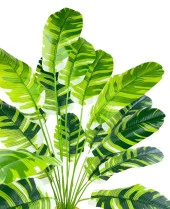 Nettenevime Yapay Çiçek Saksıda Muz Desenli Yapraklı 12Dal 60cm Salon Çiçeği Yapay Bitki thumbnail 5