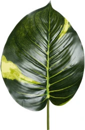 Nettenevime Yapay Çiçek Demet Tropik Diffenbahya 18 Dal 70 cm Salon Çiçeği Yapay Bitki thumbnail 4