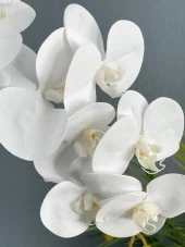 Nettenevime Yapay Çiçek Beyaz Islak Orkide Seramik Saksıda Tek Dal Orkide 60cm thumbnail 2