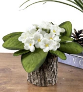 Nettenevime Yapay Çiçek Odun Saksıda Kadife Menekşe Gerçekçi Doku BEYAZ thumbnail 1