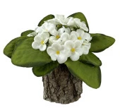 Nettenevime Yapay Çiçek Odun Saksıda Kadife Menekşe Gerçekçi Doku BEYAZ thumbnail 2