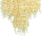 Nettenevime Sarkan Yapay Çiçek Akasya Şampanya Renk 80 cm 3 Sarkan Dallı 12 ADET BAĞ thumbnail 4