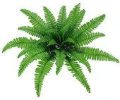 Nettenevime Yapay Çiçek Aşk Merdiveni Açık Yeşil Eğrelti Otu Bitkisi 24 Yaprak 55cm Yapay Bitki - 1