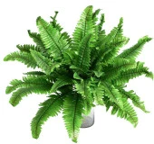 Nettenevime Yapay Çiçek Aşk Merdiveni Açık Yeşil Eğrelti Otu Bitkisi 24 Yaprak 55cm Yapay Bitki - 7