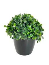 Nettenevime Yapay Çiçek Şimşir Bonus 19*17cm Yapay Bitki Siyah Plastik Saksılı Dekoratif Süs Çiçeği - 1