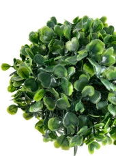 Nettenevime Yapay Çiçek Şimşir Bonus 19*17cm Yapay Bitki Siyah Plastik Saksılı Dekoratif Süs Çiçeği - 4