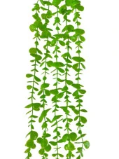 Nettenevime Yapay Çiçek Sarkan Okaliptus 80cm 5dal Yeşil Açık - 2