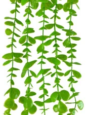 Nettenevime Yapay Çiçek Sarkan Okaliptus 80cm 5dal Yeşil Açık - 3