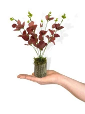 Nettenevime Yapay Çiçek Kütük Saksılı Okaliptus Dekoratif Masa Çiçeği Kızıl thumbnail 3