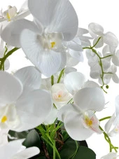 Nettenevime Yapay Çiçek 6 Islak Orkideli Aranjman Kare Ayaklı Konik Metal Mat Gümüş Vazolu Masa Üstü Çiçeği Arajman 29007 thumbnail 5