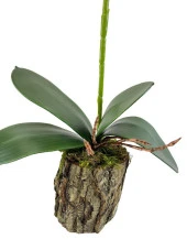 Nettenevime Yapay Çiçek Kütük Saksılı Tekdal Orkide PEMBE 50*30cm thumbnail 2