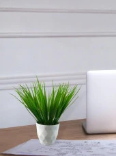 Nettenevime Yapay Çiçek Beyaz Saksıda Saz Ot Yeşil Dekoratif Masa Çiçeği thumbnail 2