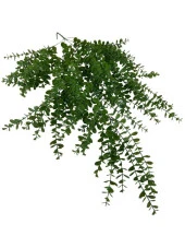 Nettenevime Yapay Çiçek Sarkan Şimşir Okaliptus Jumbo Boy 75*35cm Yapay Sarmaşık thumbnail 1