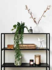 Nettenevime Yapay Çiçek Saksıda Sarkan Şimşir Okaliptus Yapay Sarmaşık Pastel  75cm thumbnail 4