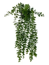 Nettenevime Yapay Çiçek Saksıda Sarkan Şimşir Okaliptus Yapay Sarmaşık Pastel 60cm thumbnail 1
