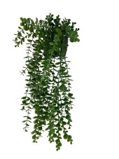 Nettenevime Yapay Çiçek Saksıda Sarkan Şimşir Okaliptus Yapay Sarmaşık Pastel 60cm thumbnail 3