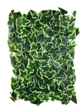 Nettenevime Yapay Çiçek Duvar Kaplama Panel Sarmaşık Hedera Tabaka 45x60 cm YeşilBeyaz Dik Duvar Uygulama thumbnail 1