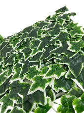 Nettenevime Yapay Çiçek Duvar Kaplama Panel Sarmaşık Hedera Tabaka 45x60 cm YeşilBeyaz Dik Duvar Uygulama thumbnail 2