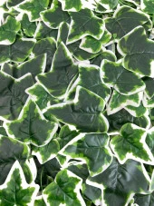 Nettenevime Yapay Çiçek Duvar Kaplama Panel Sarmaşık Hedera Tabaka 45x60 cm YeşilBeyaz Dik Duvar Uygulama thumbnail 3