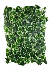 Nettenevime Yapay Çiçek Duvar Kaplama Panel Sarmaşık Hedera Tabaka 45x60 cm YeşilBeyaz Dik Duvar Uygulama thumbnail 6