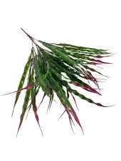 Nettenevime Yapay Çiçek BordoYeşil Kalın Kıvrımlı Saz Garnitür Aradal Dekoratif Yapay Bitki 45cm - 4