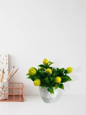 Nettenevime Yapay Çiçek Beyaz Saksıda Limon Dekoratif Masa Çiçeği 25cm - 6