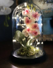 Faunus İçerisinde Işıklı Yapay Pembe Açık Orkide Anneler Günü Özel Hediye thumbnail 1