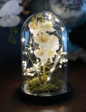 Nettenevime Faunus İçerisinde Işıklı Yapay Beyaz Orkide Anneler Günü Özel Hediye thumbnail 1