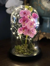 Nettenevime Faunus İçerisinde Işıklı Yapay Lila Orkide Anneler Günü Özel Hediye thumbnail 1