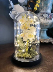 Nettenevime Faunus İçerisinde Işıklı Yapay Beyaz Orkide Anneler Günü Özel Hediye thumbnail 2