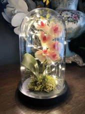 Faunus İçerisinde Işıklı Yapay Pembe Açık Orkide Anneler Günü Özel Hediye thumbnail 2