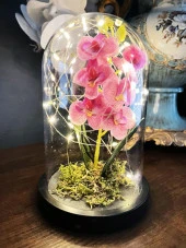 Nettenevime Faunus İçerisinde Işıklı Yapay Lila Orkide Anneler Günü Özel Hediye thumbnail 2