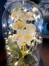 Nettenevime Faunus İçerisinde Işıklı Yapay Beyaz Orkide Anneler Günü Özel Hediye thumbnail 3