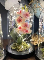 Faunus İçerisinde Işıklı Yapay Pembe Açık Orkide Anneler Günü Özel Hediye thumbnail 3