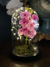 Nettenevime Faunus İçerisinde Işıklı Yapay Lila Orkide Anneler Günü Özel Hediye thumbnail 3