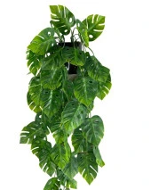 Nettenevime Yapay Çiçek Saksıda Sarkan Monstera Deve Tabanı Yapay Sarmaşık Pastel 60cm thumbnail 3