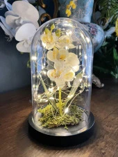 Nettenevime Faunus İçerisinde Işıklı Yapay Beyaz Orkide Anneler Günü Özel Hediye thumbnail 4