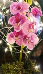 Nettenevime Faunus İçerisinde Işıklı Yapay Lila Orkide Anneler Günü Özel Hediye thumbnail 4