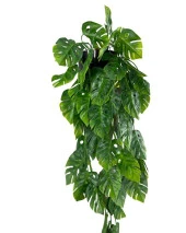 Nettenevime Yapay Çiçek Saksıda Sarkan Monstera Deve Tabanı Yapay Sarmaşık Pastel 60cm thumbnail 4