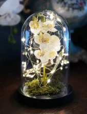 Nettenevime Faunus İçerisinde Işıklı Yapay Beyaz Orkide Anneler Günü Özel Hediye thumbnail 7