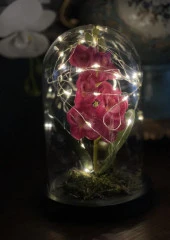 Nettenevime Faunus İçerisinde Işıklı Yapay Fuşya Orkide Anneler Günü Özel Hediye thumbnail 5