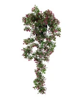 Nettenevime Yapay Çiçek Saksıda Sarkan Bordo Fare Kulağı Şimşir Yapay Sarmaşık Pastel 50cm thumbnail 4