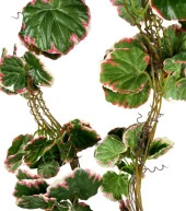 Nettenevime Yapay Sarmaşık Dolanabilen Pembe Çizgili Sardunya Yaprağı 5 li Paket 230cm Dekoratif Yapay Çiçek thumbnail 7