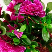 Nettenevime Yapay Çiçek Mor Açelya Demeti 7 Dallı 33*20cm thumbnail 6